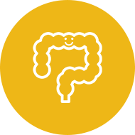 胃腸内視鏡内科